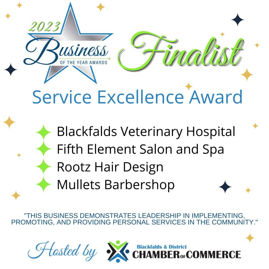 Service Excellence Awards Top 3 Finalists